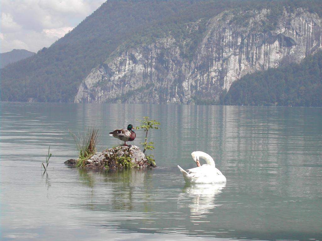 Landhaus Leitner Am Wolfgangsee ซังคท์กิลเกอ ภายนอก รูปภาพ